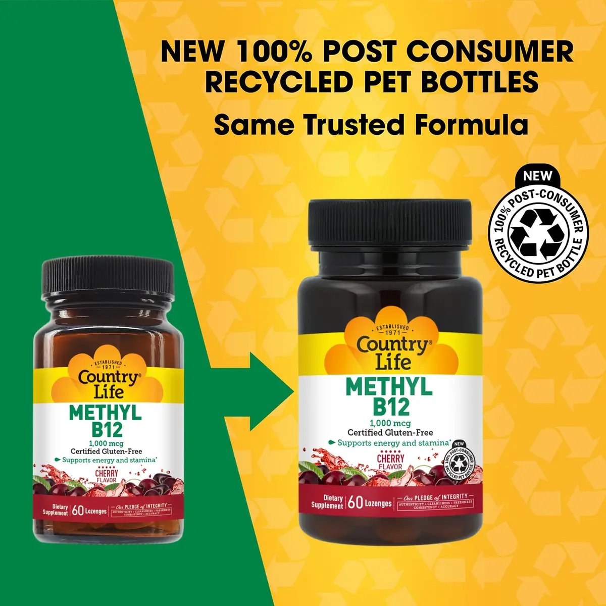 Country Life Methyl B12 1000 mcg Cherry Flavor | Supports Energy & Stamina (70-120 chars) - view 2