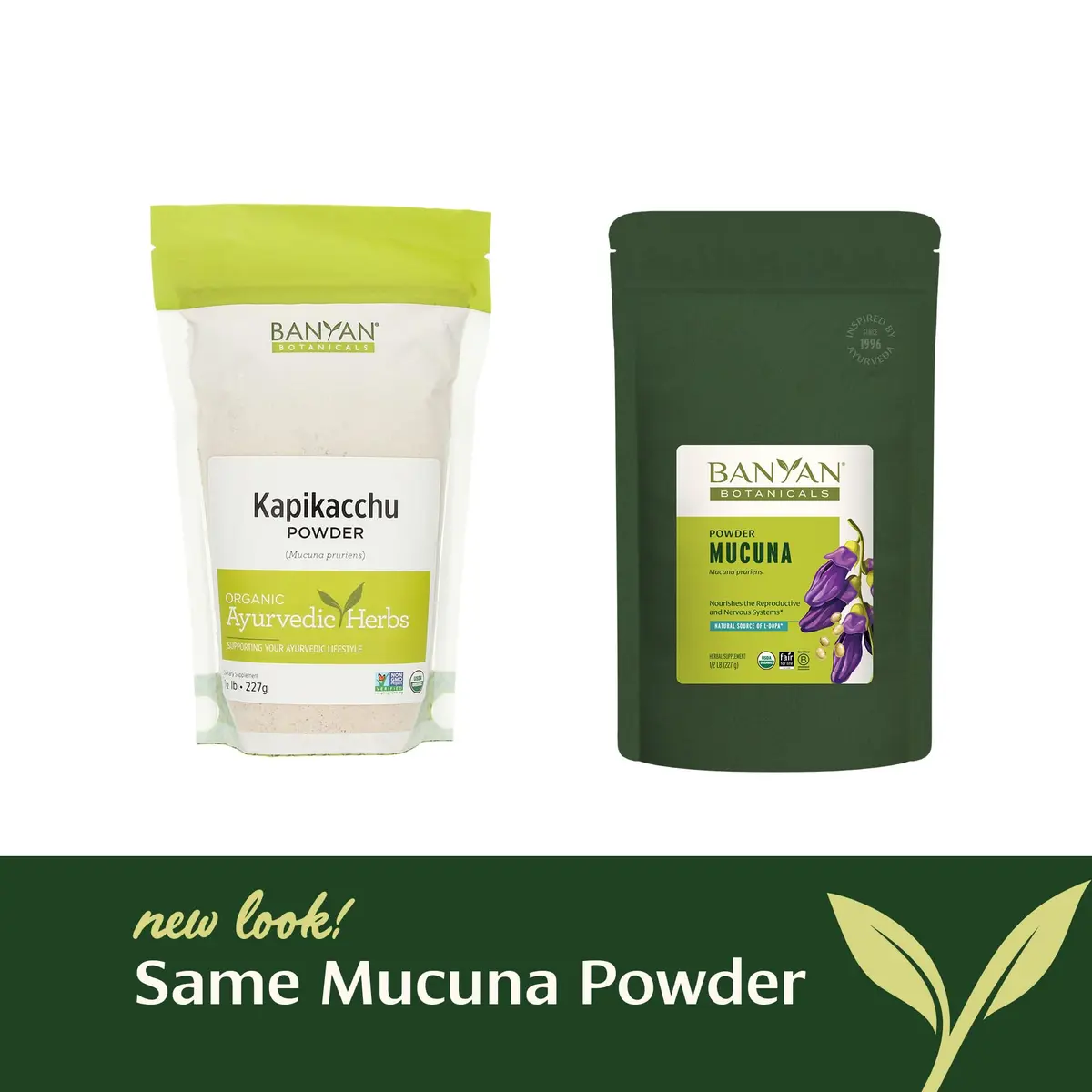 Banyan Botanicals Kapikacchu Powder 8 Ounce | USDA Organic Mucuna pruriens for Nervous & Reproductive Support - view 3
