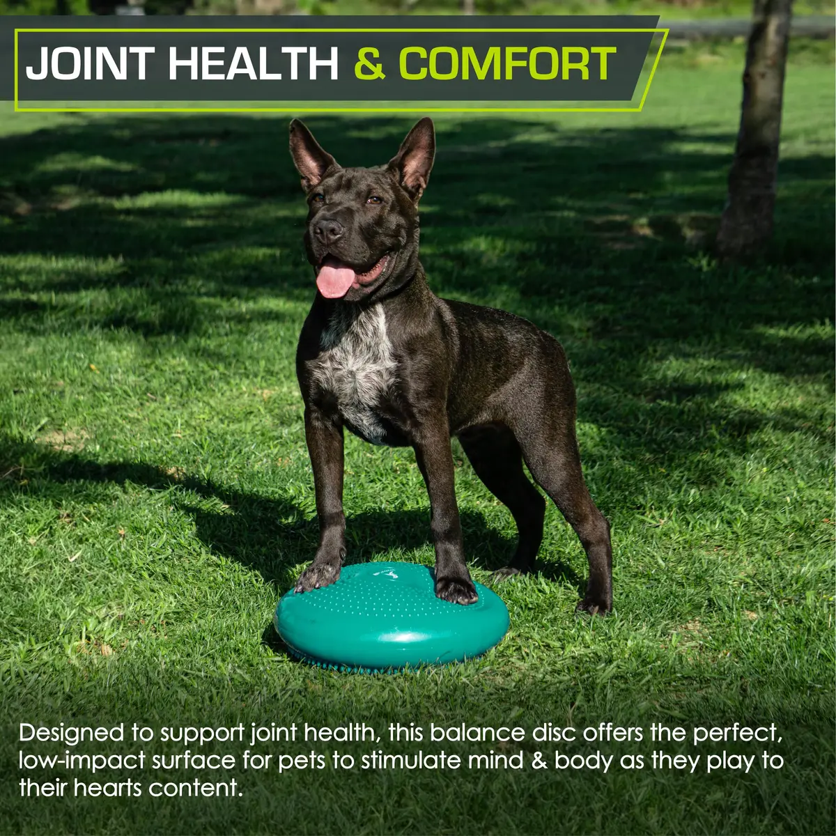 ProsourceFit Core Balance Disc Trainer 14” Diameter | Improve Posture & Stability - view 6