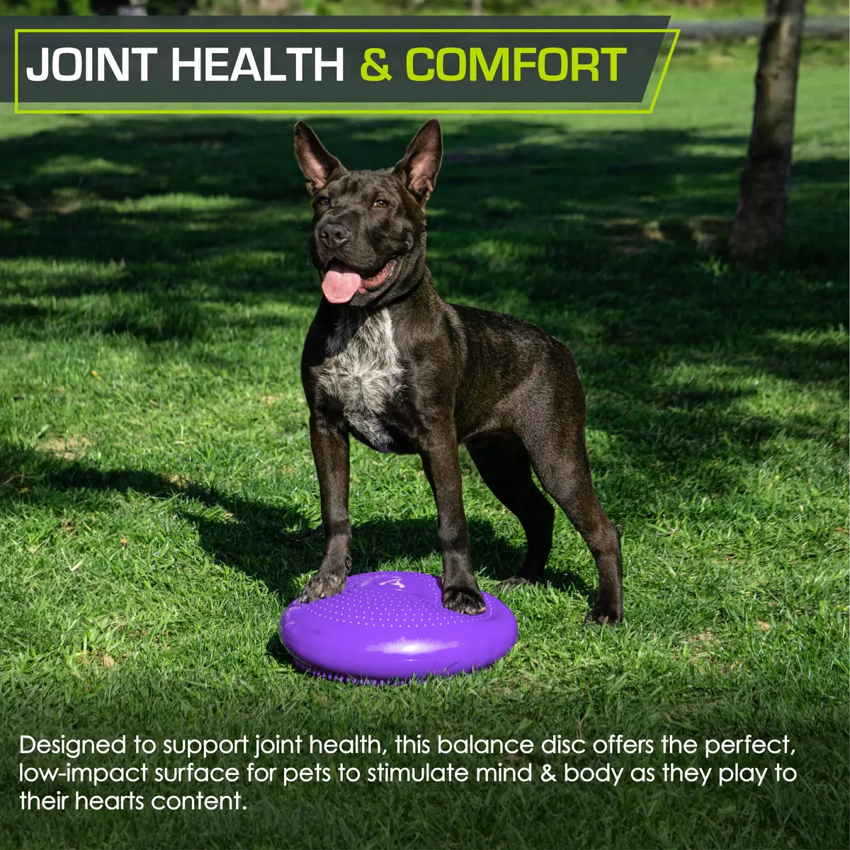 ProsourceFit Core Balance Disc Trainer, 14" Diameter with Pump for Fitness, Balance & Seating; Wobble Board for Core Stability; Flexible Floor Cushions for Kids, Purple - view 5