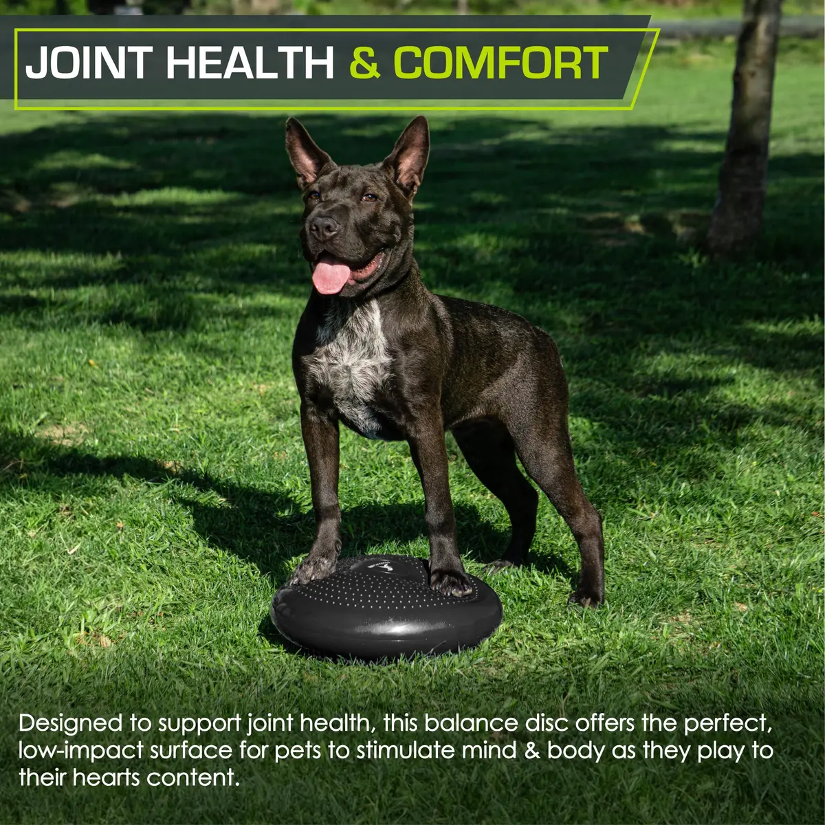 ProsourceFit Core Balance Disc Trainer 14” Diameter | Improve Posture & Stability - view 5