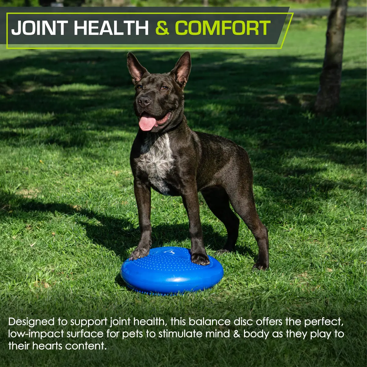 ProSource Core Balance Disc Trainer 14" Blue | Core Stability & Balance Exercise Tool - view 7