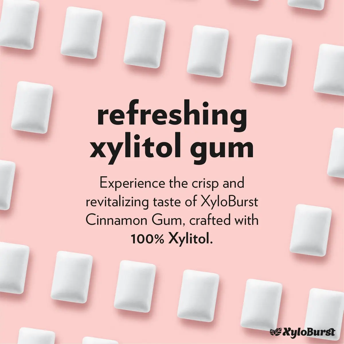 Xyloburst Cinnamon Chewing Gum 24 Pieces | Sugar-Free Oral Health Support - view 3