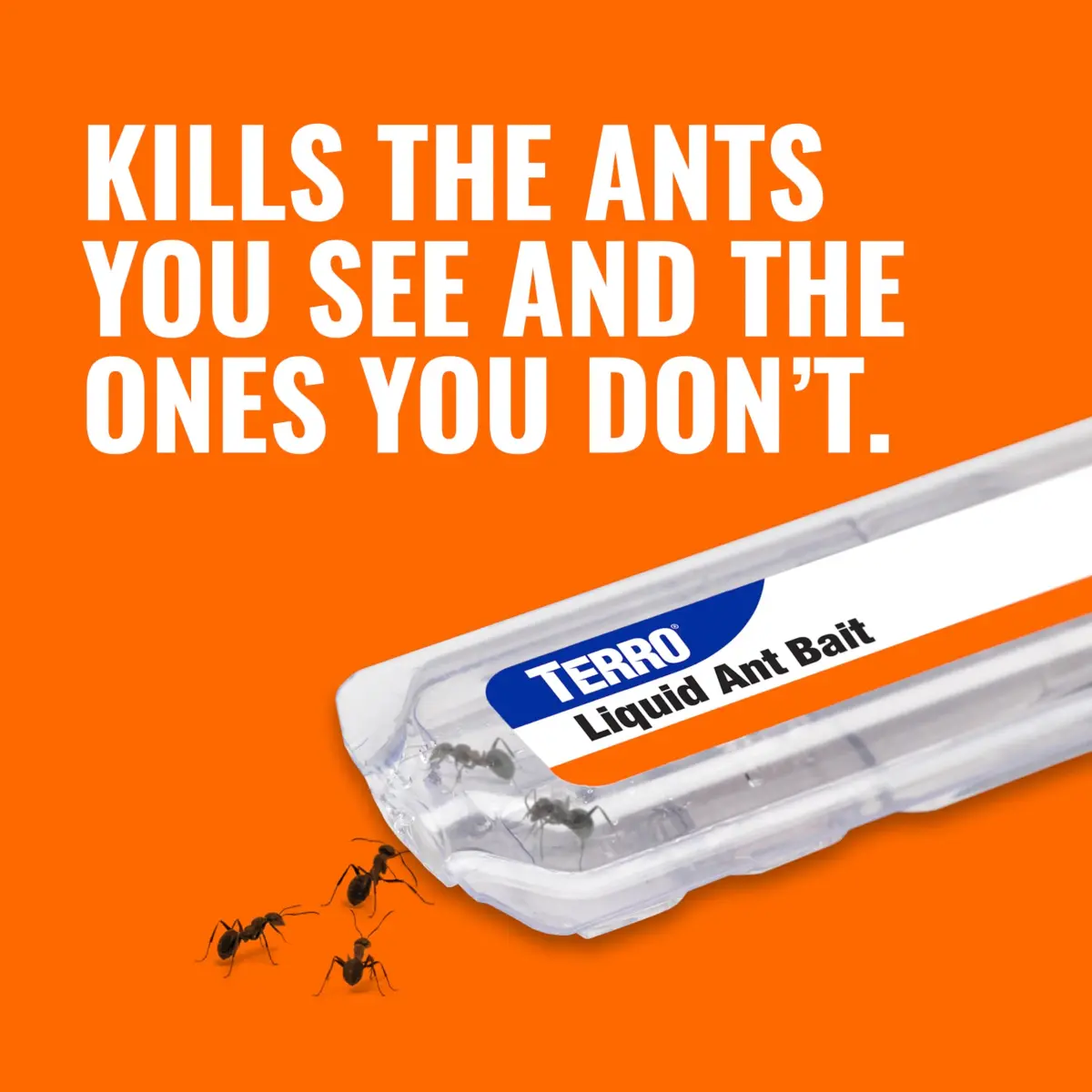 Terro Ant Killer Bait Stations T300B, 12 Count | Borax Formula Kills Colony - view 4