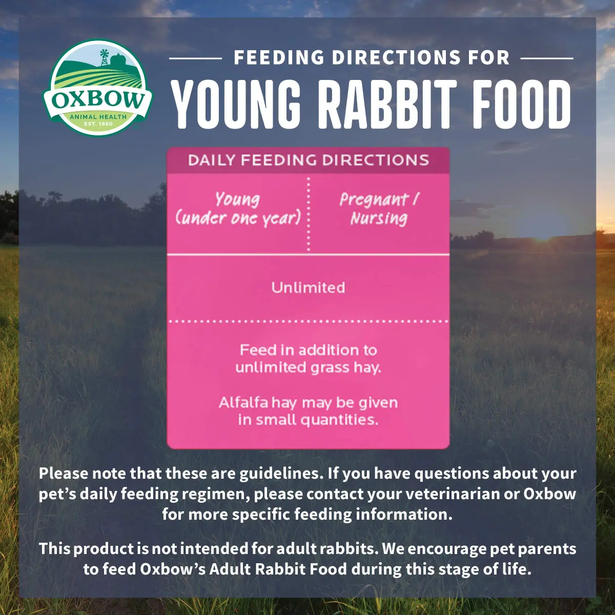 Oxbow Essentials Young Rabbit Food Pellets 11.33 kg (25 lb) | High-Fiber Timothy Hay Formula for Digestive Health - view 4