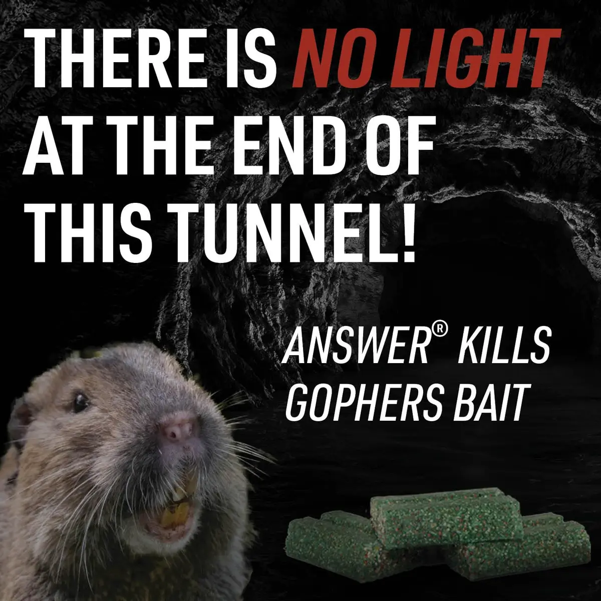 JT Eaton Answer Pocket Gopher Rodenticide Bait, 16 oz | Moisture-Resistant Anticoagulant for Gophers in India - view 6