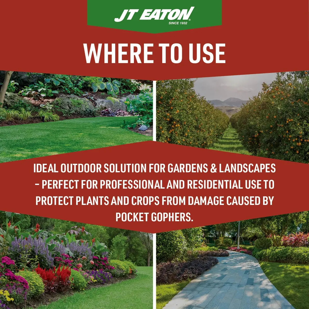 JT Eaton Answer Pocket Gopher Rodenticide Bait, 16 oz | Moisture-Resistant Anticoagulant for Gophers in India - view 4