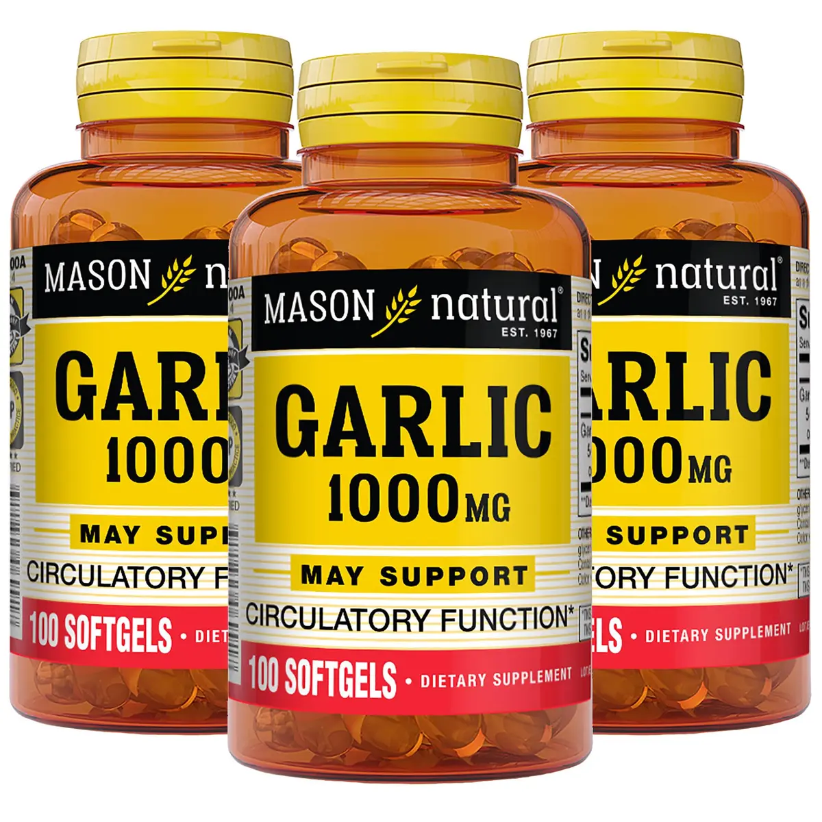 MASON NATURAL Garlic Oil Softgels 300-Day Supply | Supports Heart & Circulatory Health - main product image