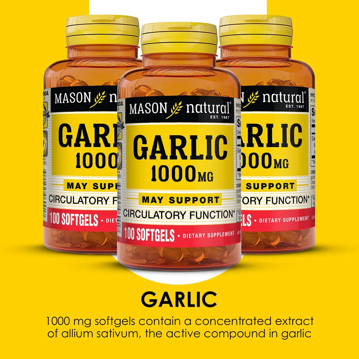 MASON NATURAL Garlic Oil Softgels 300-Day Supply | Supports Heart & Circulatory Health - view 4