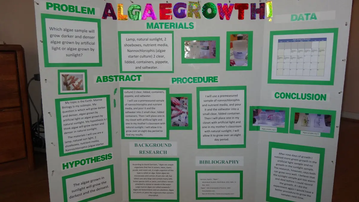 Algae Research Supply Algae Culture Kit Spirulina | School Science Fair & Classroom Experiment - view 7