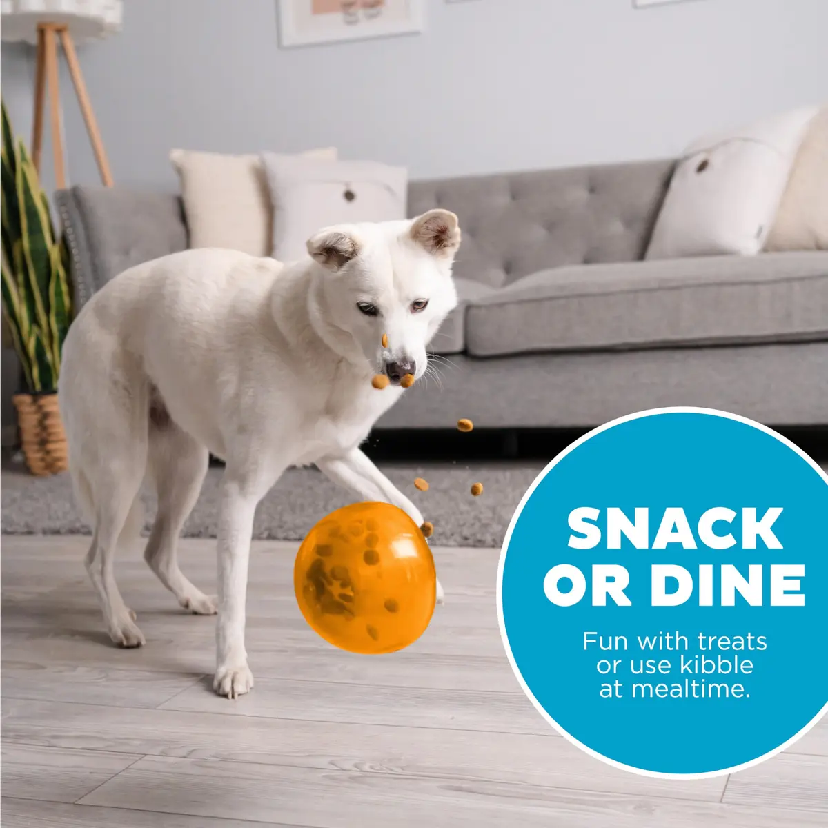 Outward Hound Snoop Interactive Treat Dispenser Dog Toy, Orange, 5" | Mental Stimulation & Slow Feeder - view 6