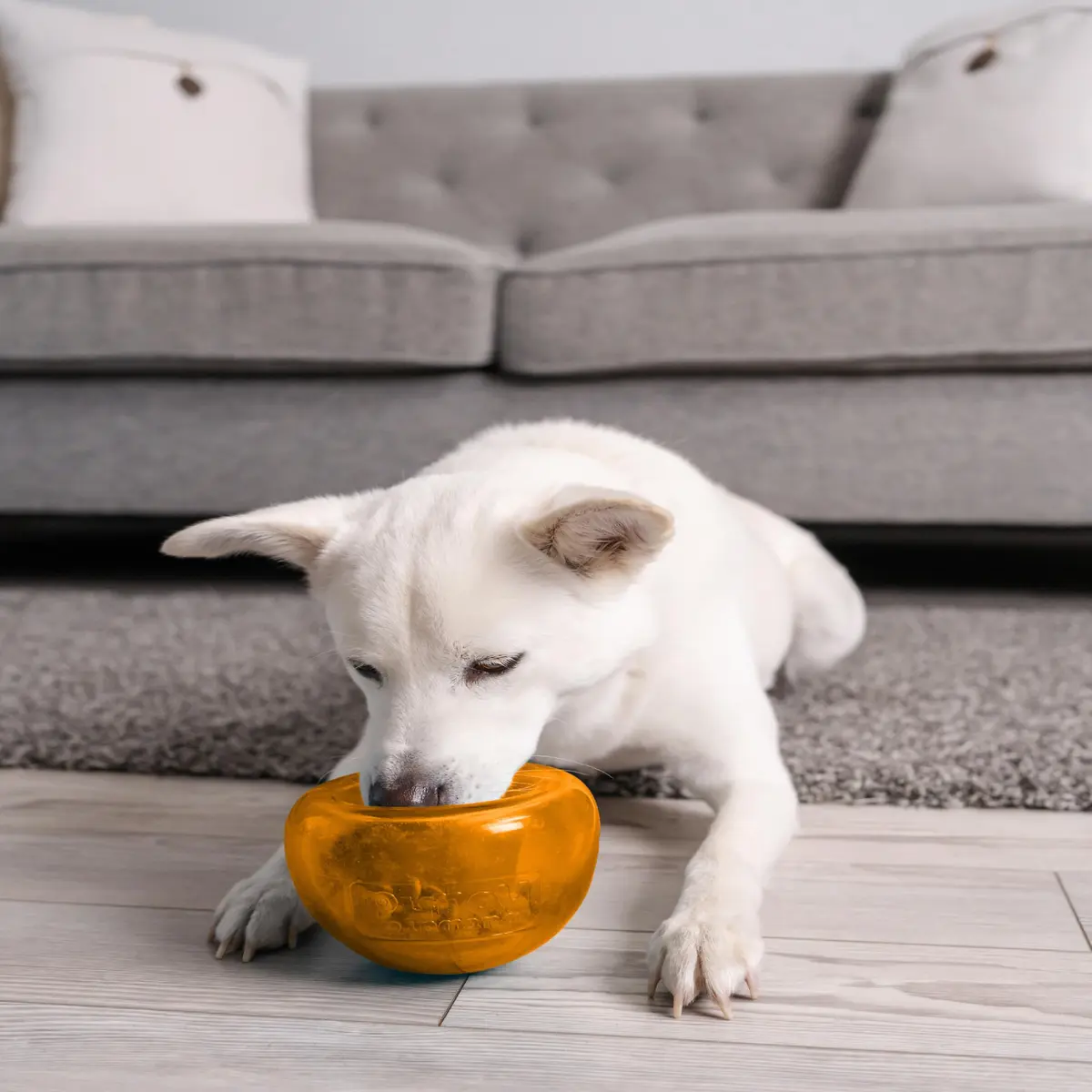 Outward Hound Snoop Interactive Treat Dispenser Dog Toy, Orange, 5" | Mental Stimulation & Slow Feeder - view 9