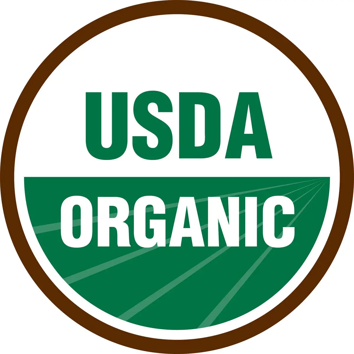 Terrasoul Superfoods Organic Camu Camu Powder 99g (3.5 Oz) | Certified Organic Immune Support - view 5