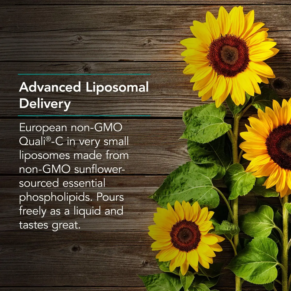 Allergy Research Group Micro Liposomal C 1000 mg Vitamin C, 120 mL | Liposomal Vitamin C for Immune & Cellular Support - view 4