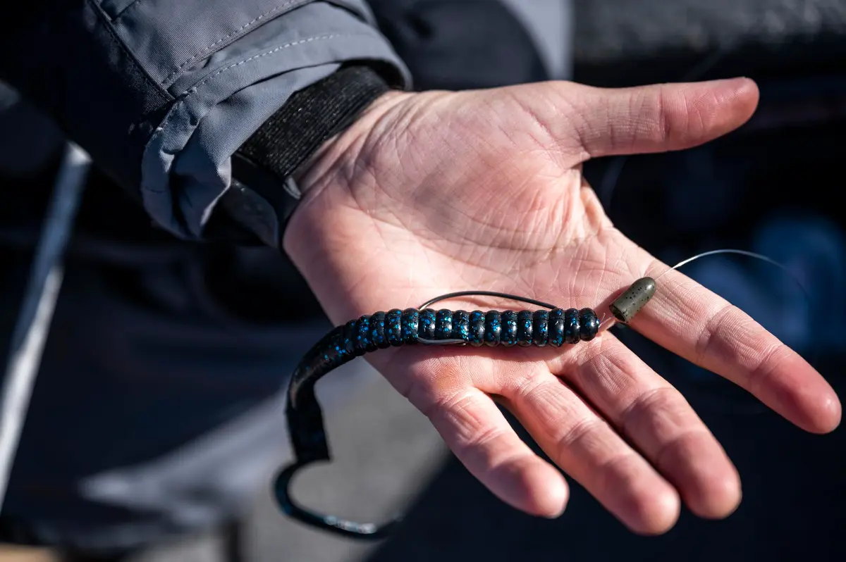 Berkley PowerBait Power Worm Fishing Bait, Black Grape, 10in | Classic Curly Tail Profile for Spring, Summer & Fall Fishing - view 5