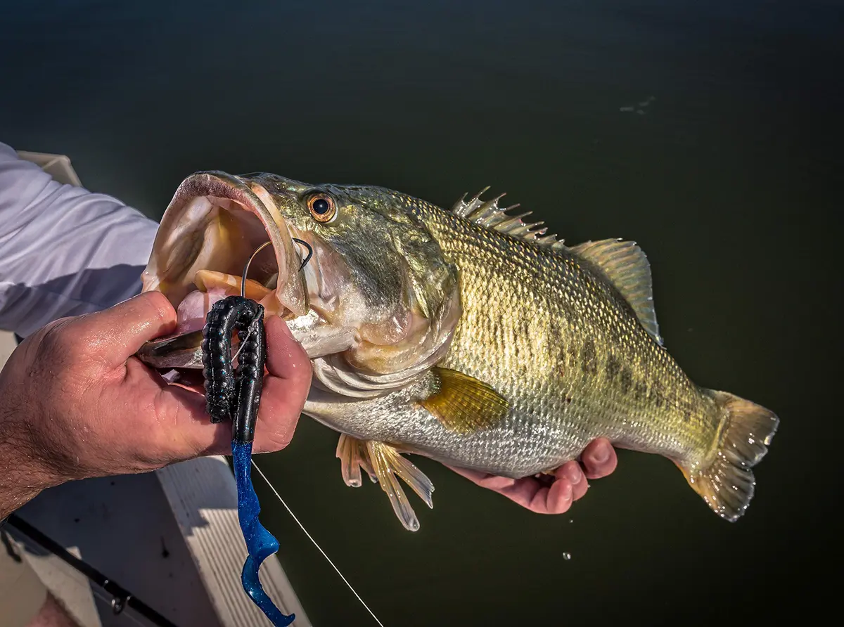Berkley PowerBait Power Worm Fishing Bait, Black Grape, 10in | Classic Curly Tail Profile for Spring, Summer & Fall Fishing - view 6