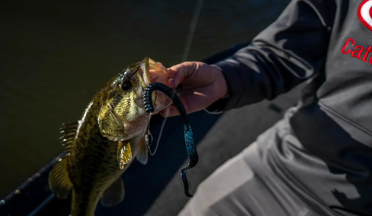 Berkley PowerBait Power Worm Fishing Bait, Black Grape, 10in | Classic Curly Tail Profile for Spring, Summer & Fall Fishing - view 3