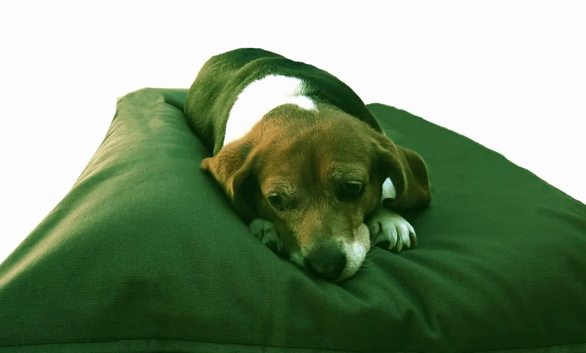 Dogbed4less DIY Pet Bed Pillow Denim Cover 36"X29" | Waterproof & Washable - view 5