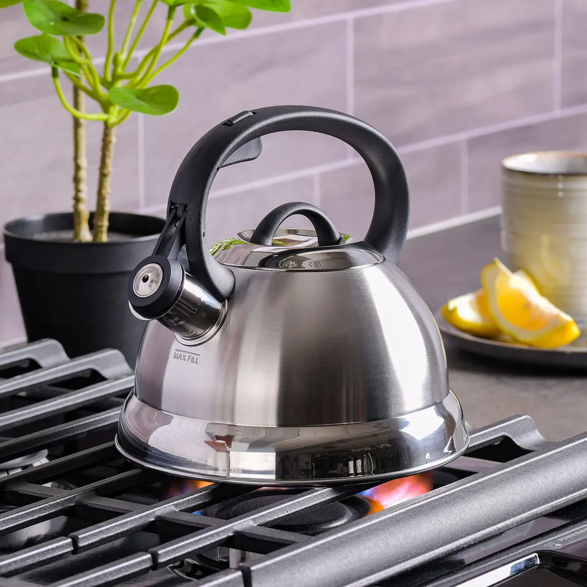 Mr. Coffee Flintshire 1.75-Quart Stainless Steel Whistling Tea Kettle – Brushed Satin Finish Stove-Top Kettle for Boiling Water - view 2