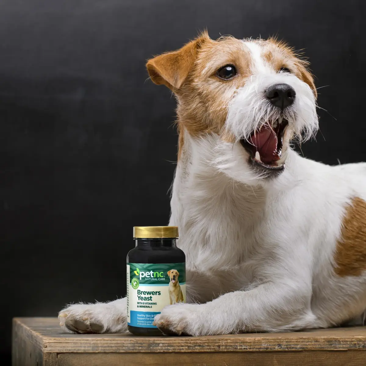 PetNC Natural Care Brewers Yeast Dog Skin and Coat Supplement 250 Chewables | Promotes Healthy Skin & Glossy Coat - view 5