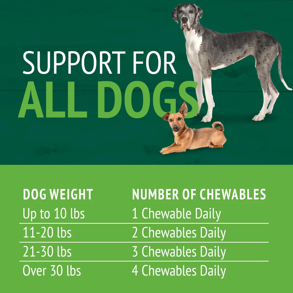PetNC Natural Care Brewers Yeast Dog Skin and Coat Supplement 250 Chewables | Promotes Healthy Skin & Glossy Coat - view 4