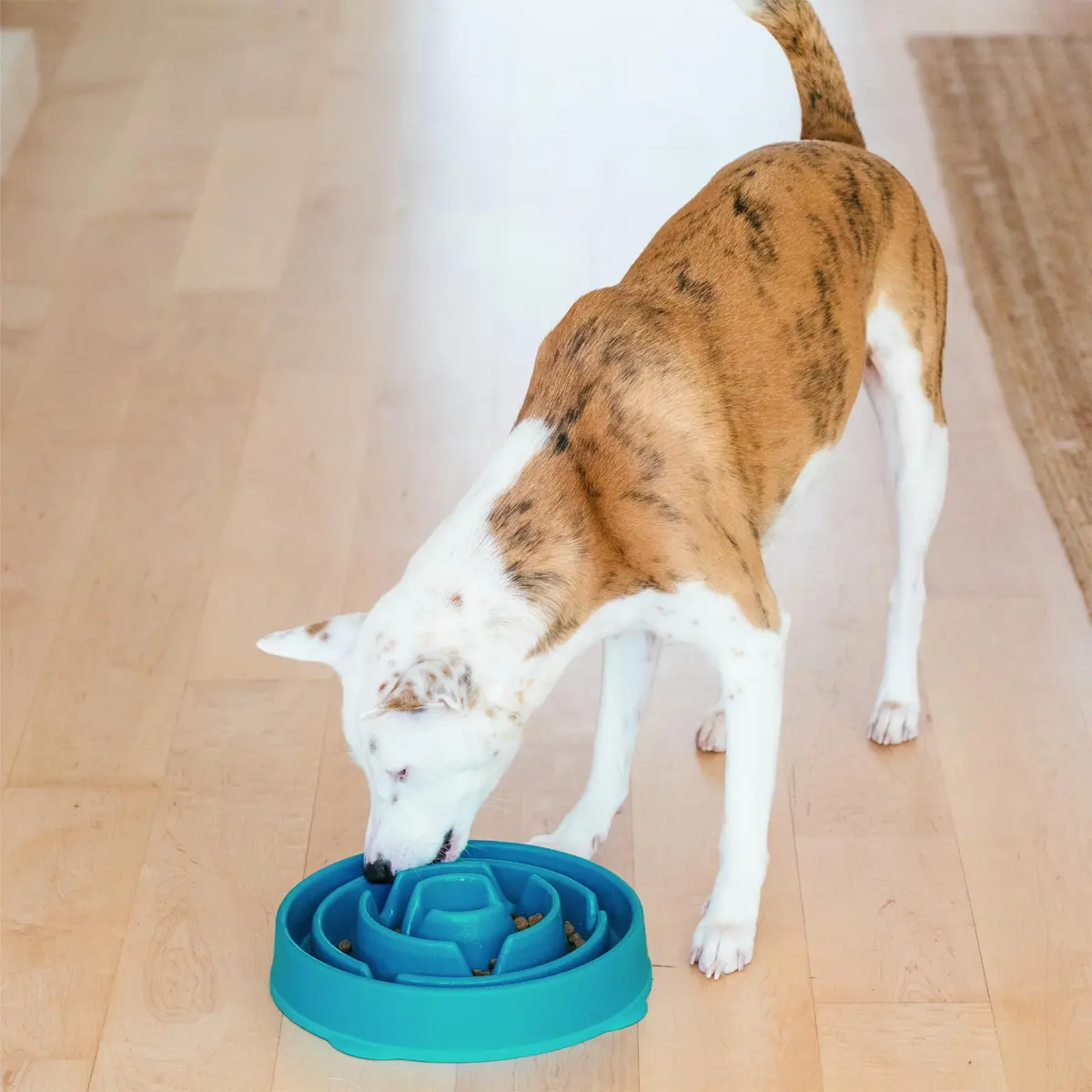 Outward Hound Fun Feeder Slo Bowl Large 4-Cup Capacity Turquoise | Slow Feeding Dog Bowl for Medium to Large Dogs - view 6