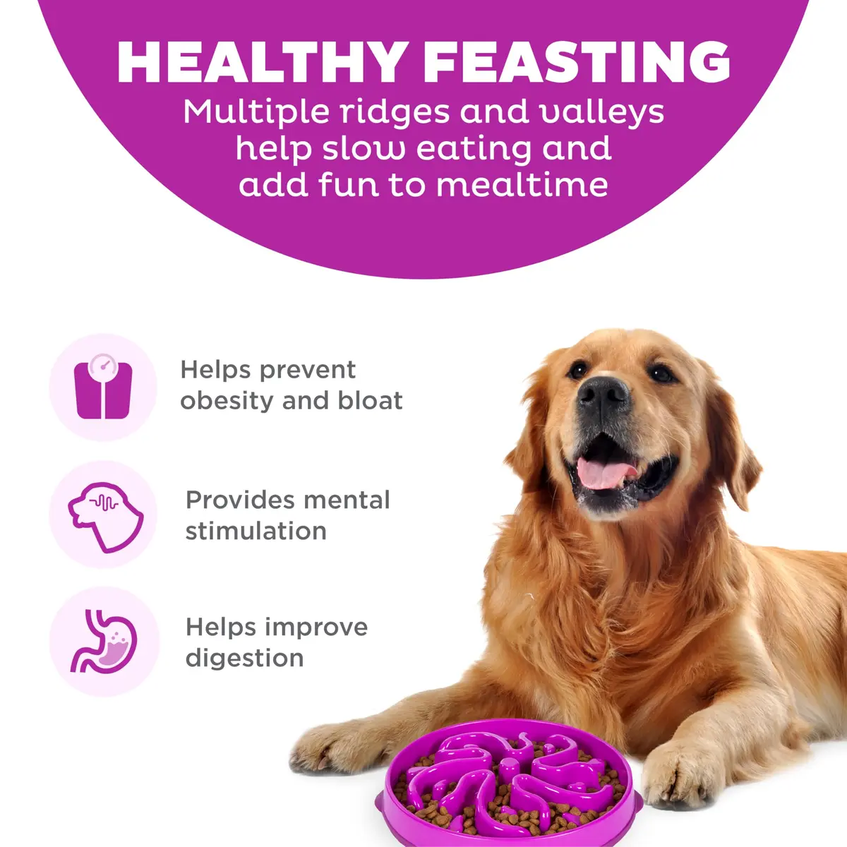 Outward Hound Fun Feeder Slo Bowl Large 4-Cup Capacity Purple Flower Pattern | Slow Feeder Dog Bowl for Fast Eaters - view 2