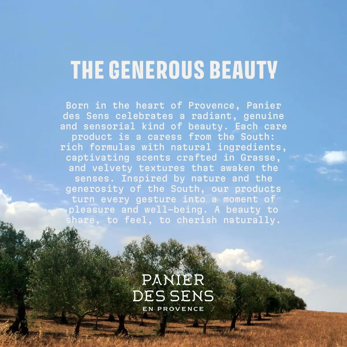 Panier des Sens Provence Citrus Hand Cream 29.57ml (1 Fl Oz) | 20% Shea Butter, Natural Ingredients - view 8