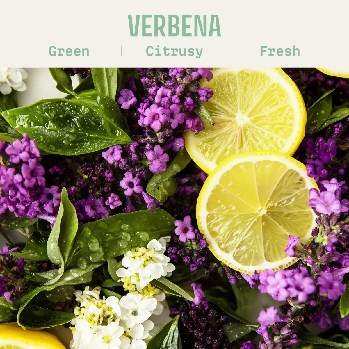 Panier des Sens Lemon Verbena Hand Cream 29.57ml (1 fl oz) | Energizing Citrus Scent for Soft Hands - view 2