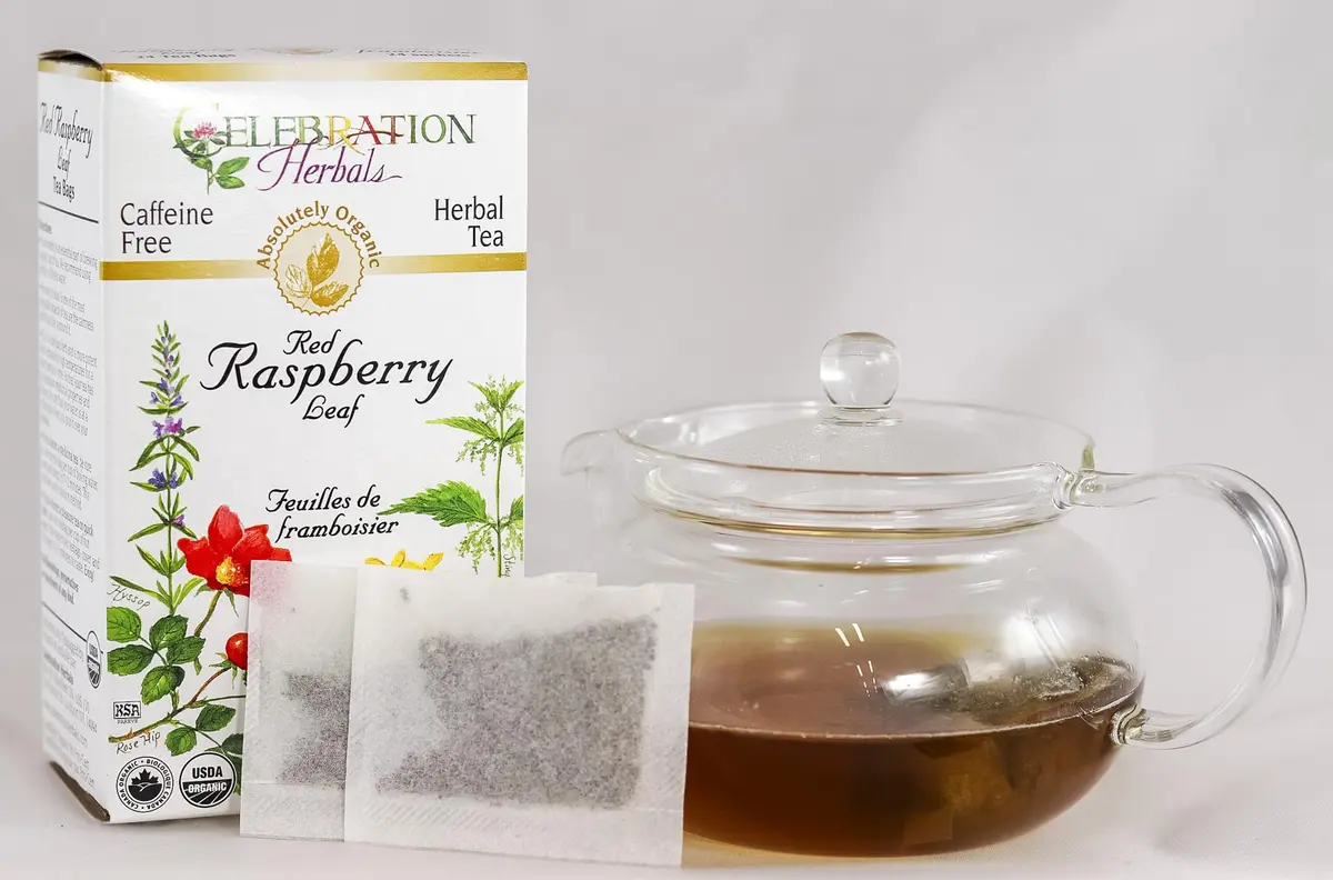 Celebration HERBALS Red Raspberry Leaf Tea Organic 24 Bag | Raspberry & Organic Herb for Pregnancy & Wellness - view 3