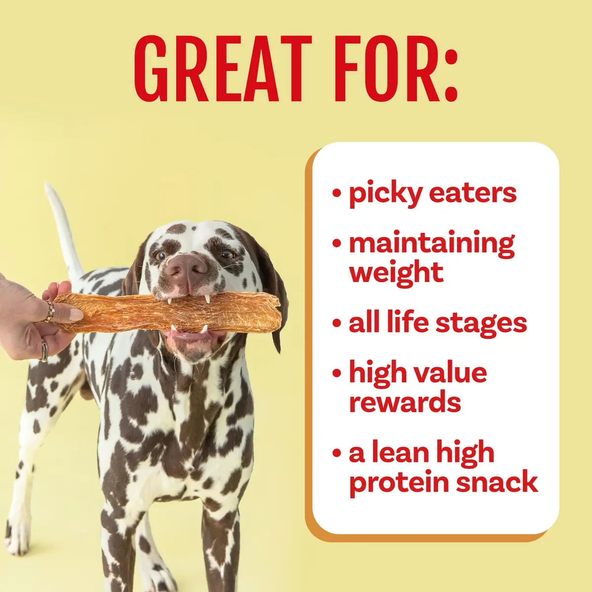 Polkadog Chicken Jerky for Dogs | Single Ingredient, USA Dehydrated Treats, 4oz Tube - view 6