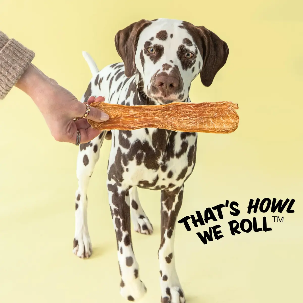 Polkadog Chicken Jerky for Dogs | Single Ingredient, USA Dehydrated Treats, 4oz Tube - view 8