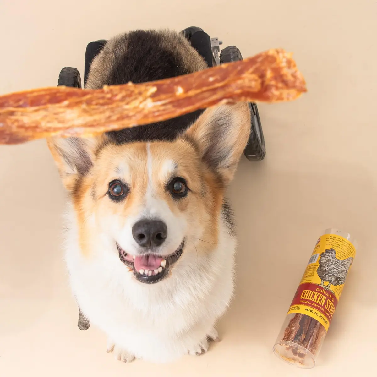 Polkadog Chicken Jerky for Dogs | Single Ingredient, USA Dehydrated Treats, 4oz Tube - view 2