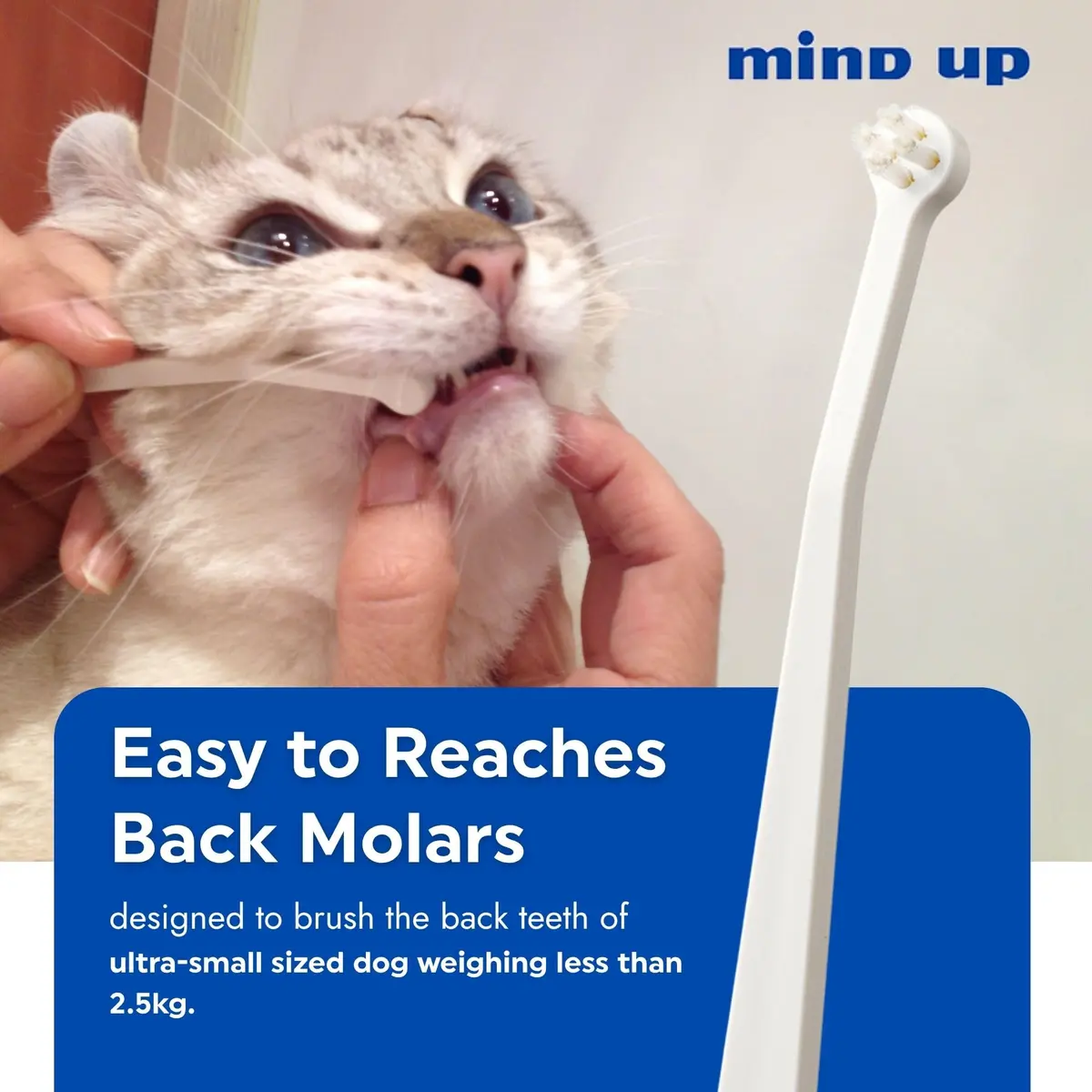 MIND UP Cat Toothbrush with Micro Head, 15° Angled Design for Easier Reach, Pet Toothbrush for Cats & Kittens, Gentle Everyday Brushing, Made in Japan - view 3