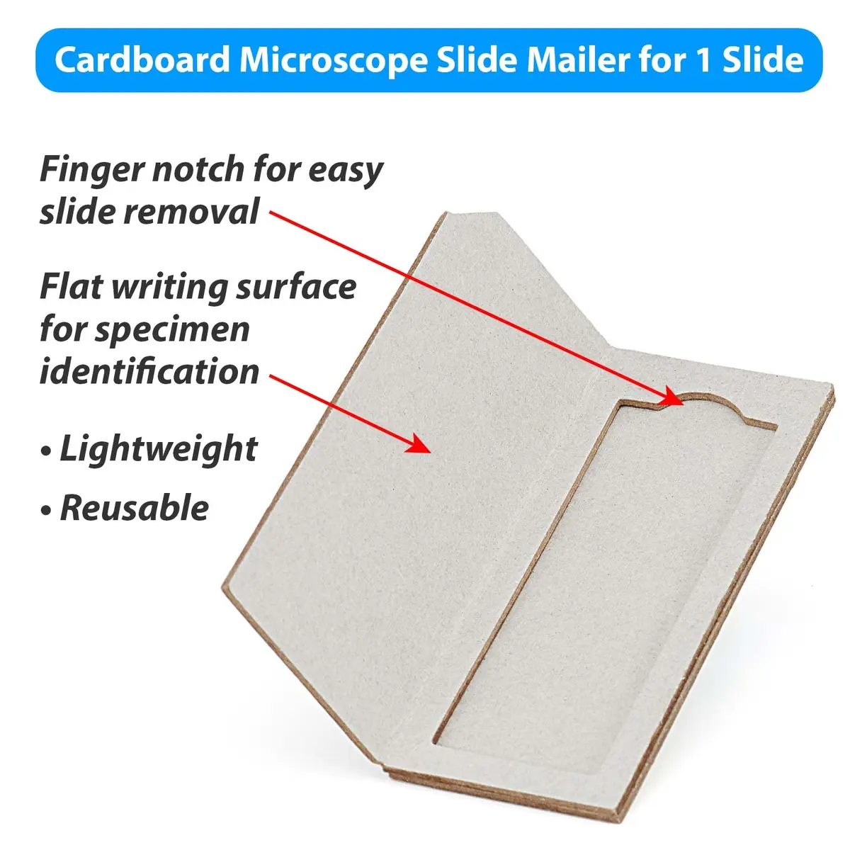 Globe Scientific Cardboard Slide Mailer for 1 Slide | Reusable, Lightweight, Space-Saving (70-120 chars) - view 2