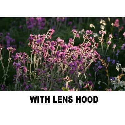 PLR Optics 55mm Lens Hood for Sony DSC-HX300 Digital Camera | Prevents Lens Flare & Protects Lens - view 8