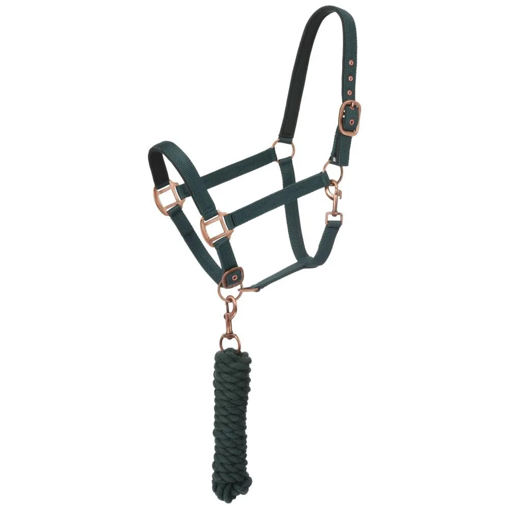 Animal Harness