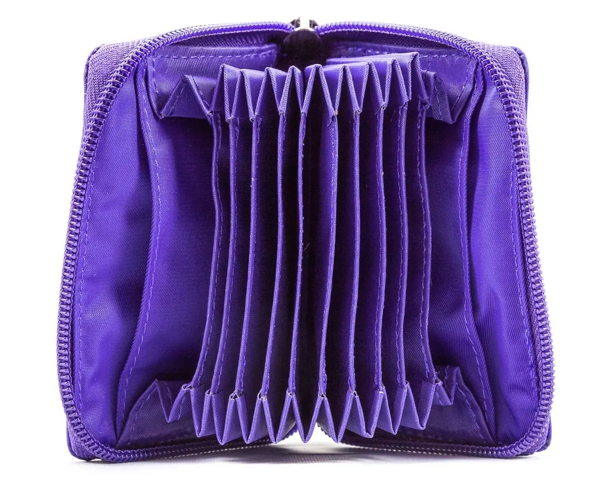 Big Skinny Polka Accordion Card Case Wallet Purple 10.8 cm (4.25 x 2.56 Inch) | Holds Up to 30 Cards - view 7