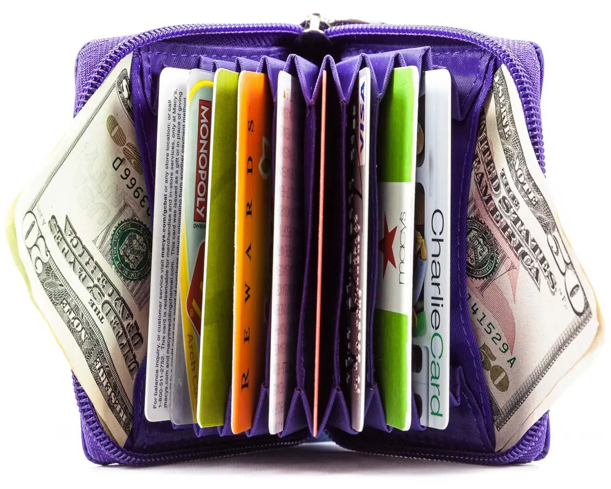 Big Skinny Polka Accordion Card Case Wallet Purple 10.8 cm (4.25 x 2.56 Inch) | Holds Up to 30 Cards - view 2