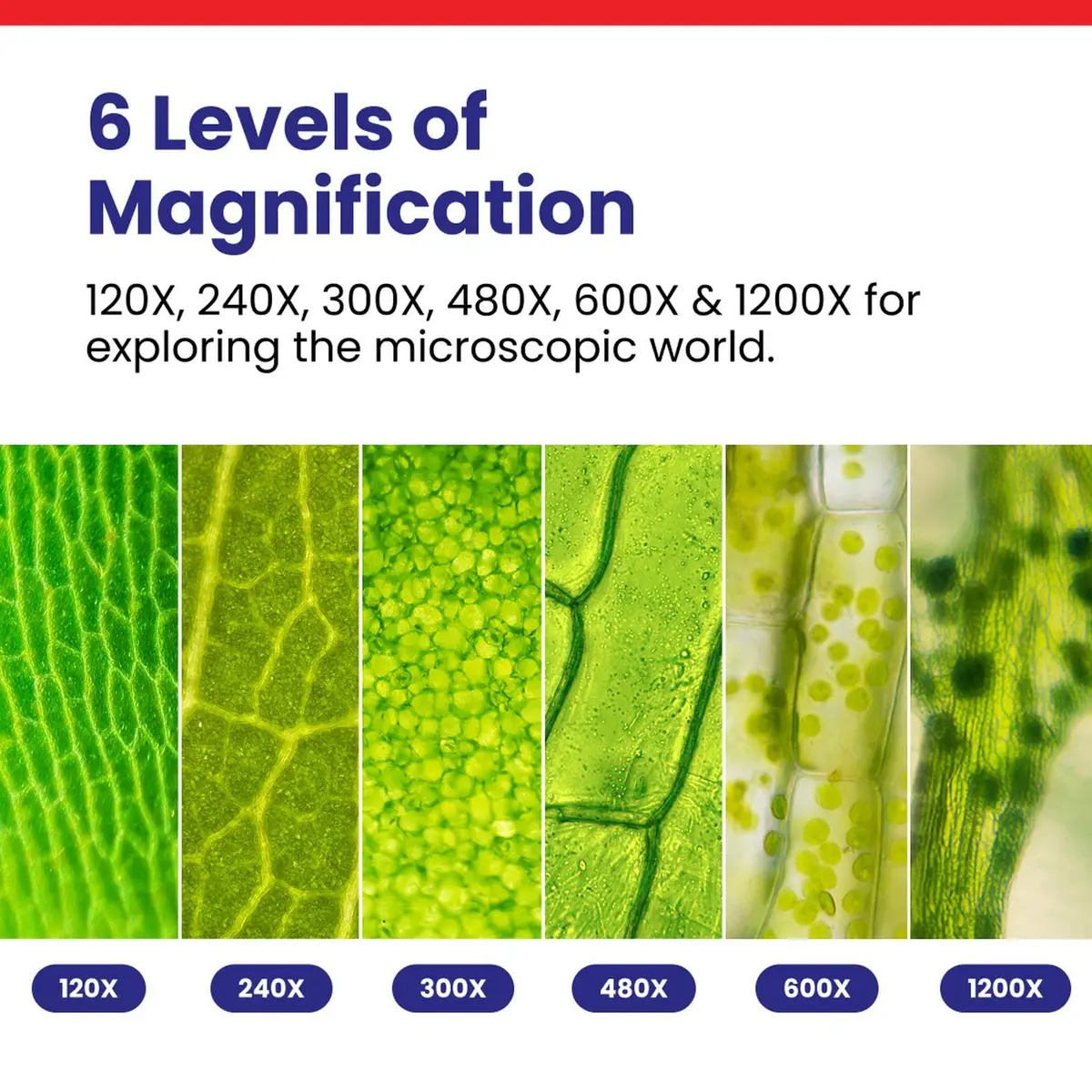 AmScope M30-ABS-KT51 STEM Microscope Kit, Monocular, Black | 120X to 1200X Magnification for Kids - view 3