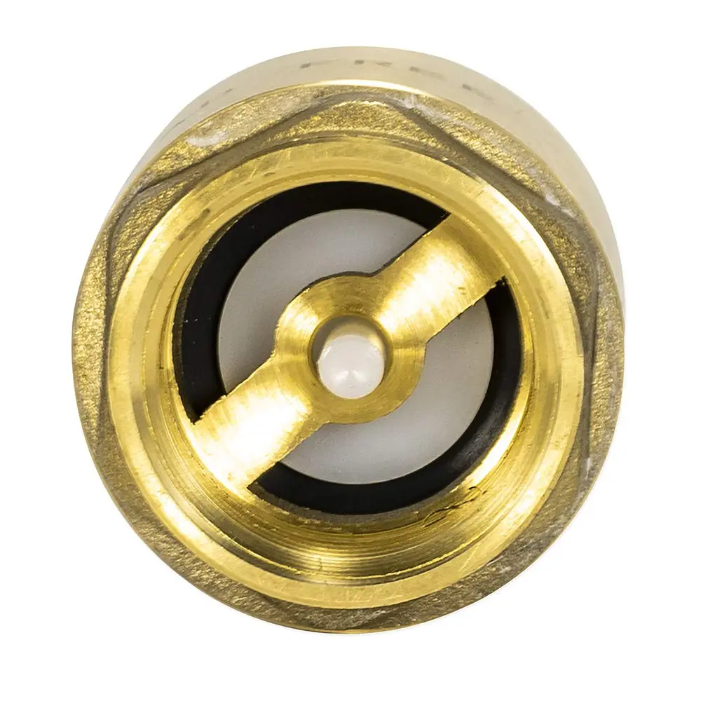 Eastman Brass In-Line Check Valve 1 Inch IPS Threaded Connection | Prevents Backflow in Water Lines - view 2