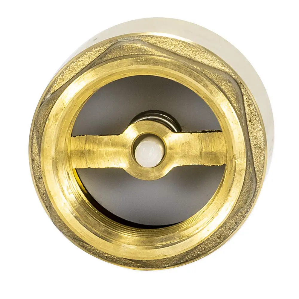 Eastman Brass In-Line Check Valve 1 Inch IPS Threaded Connection | Prevents Backflow in Water Lines - view 3