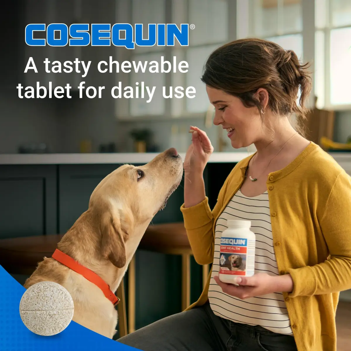 Nutramax Cosequin Joint Supplement for Dogs, MSM+HA, 250 Chew Tablets | Supports Joints, All Breeds & Sizes, All Ages - view 4