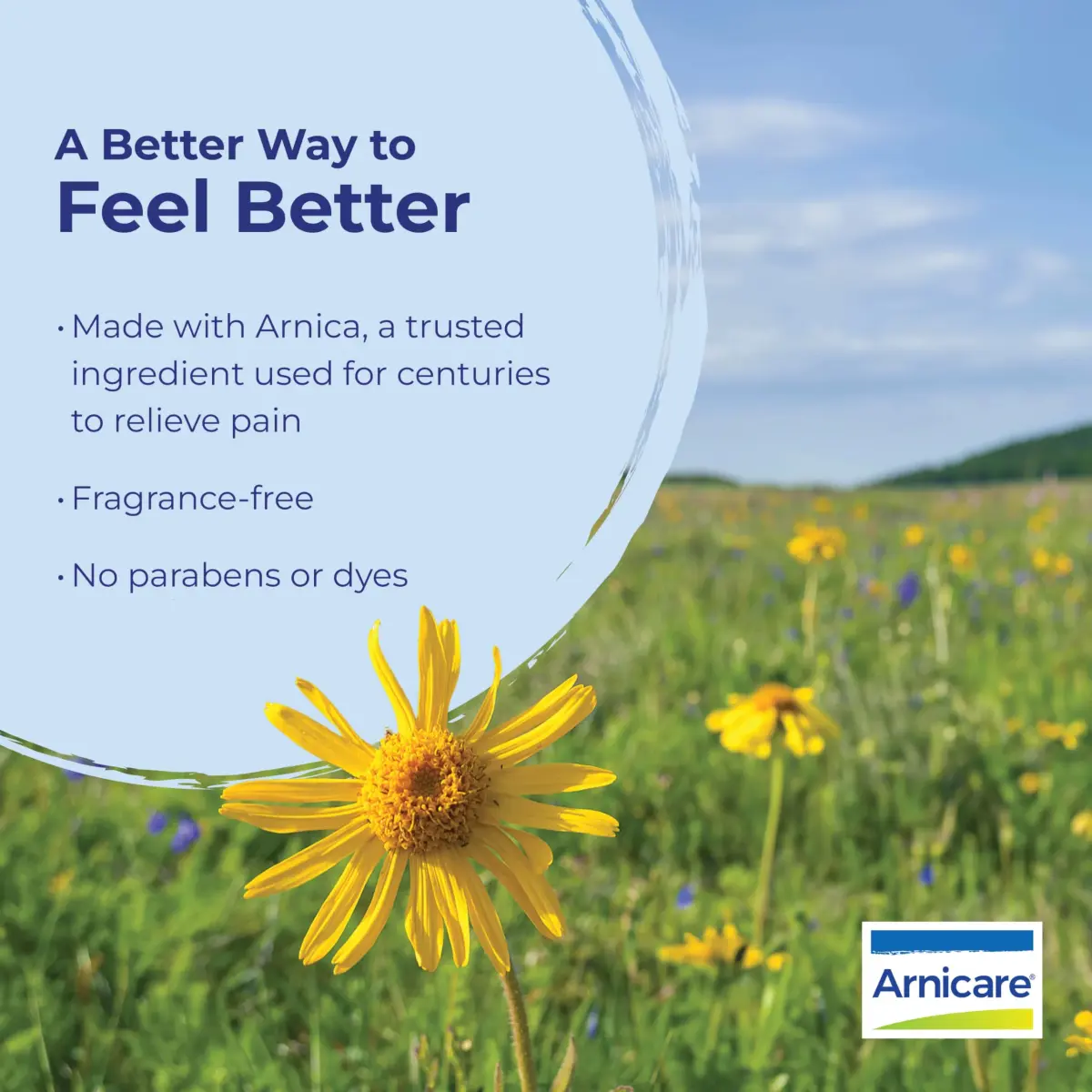 Boiron Arnicare Gel Fragrance-Free 2.6 oz | Homeopathic Pain Relief - view 5