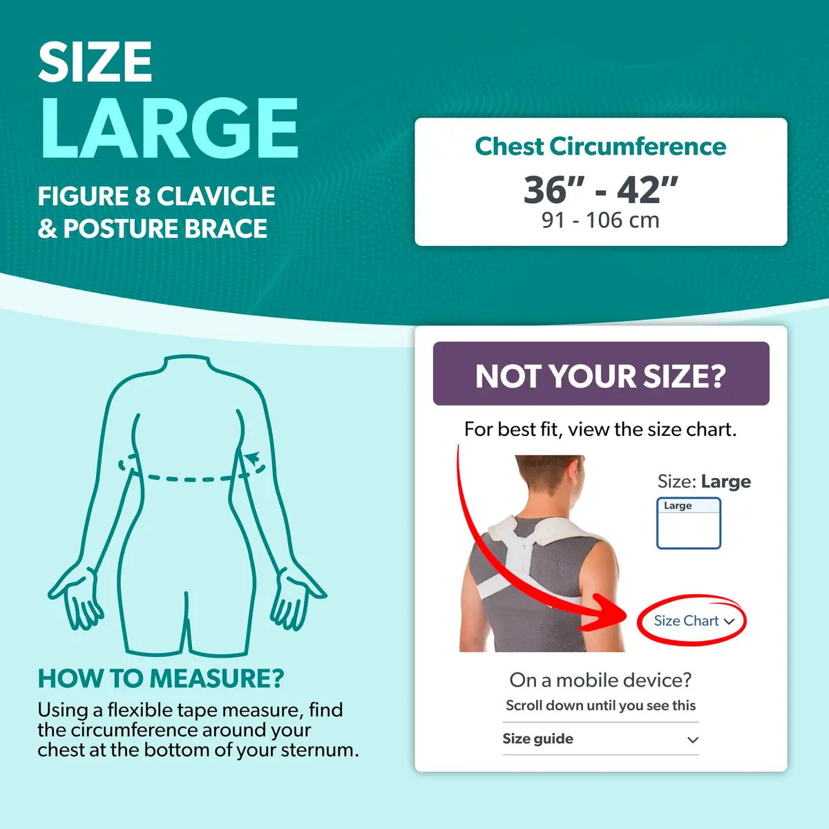 BraceAbility Clavicle Support Brace - Figure 8 Upper Back Brace Posture Corrector for Women and Men, Shoulder Straightener, Kyphosis Relief, Sling for Injuries and Fractures (Large, 24-48 inch Chest) - view 2
