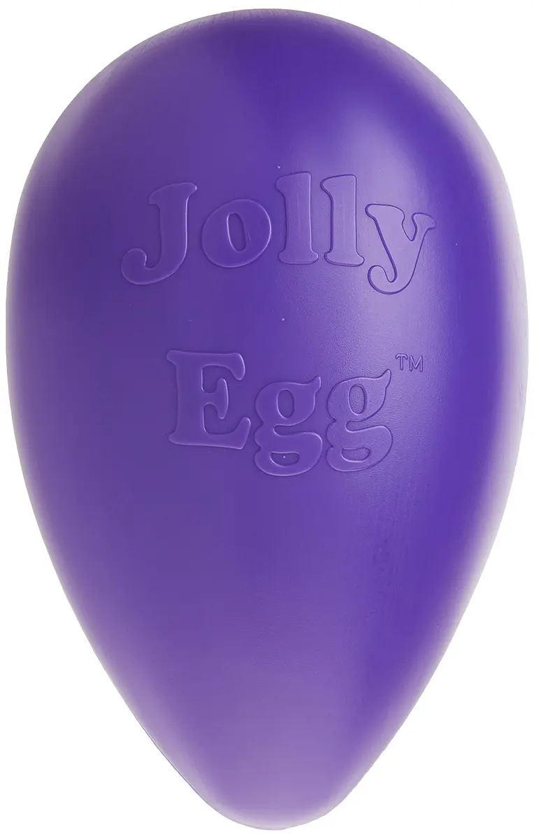 Jolly Pets Jolly Egg Dog Toy, Large 12 Inch Purple | Erratic Motion Fetch Toy for Dogs Over 40 lbs - main product image