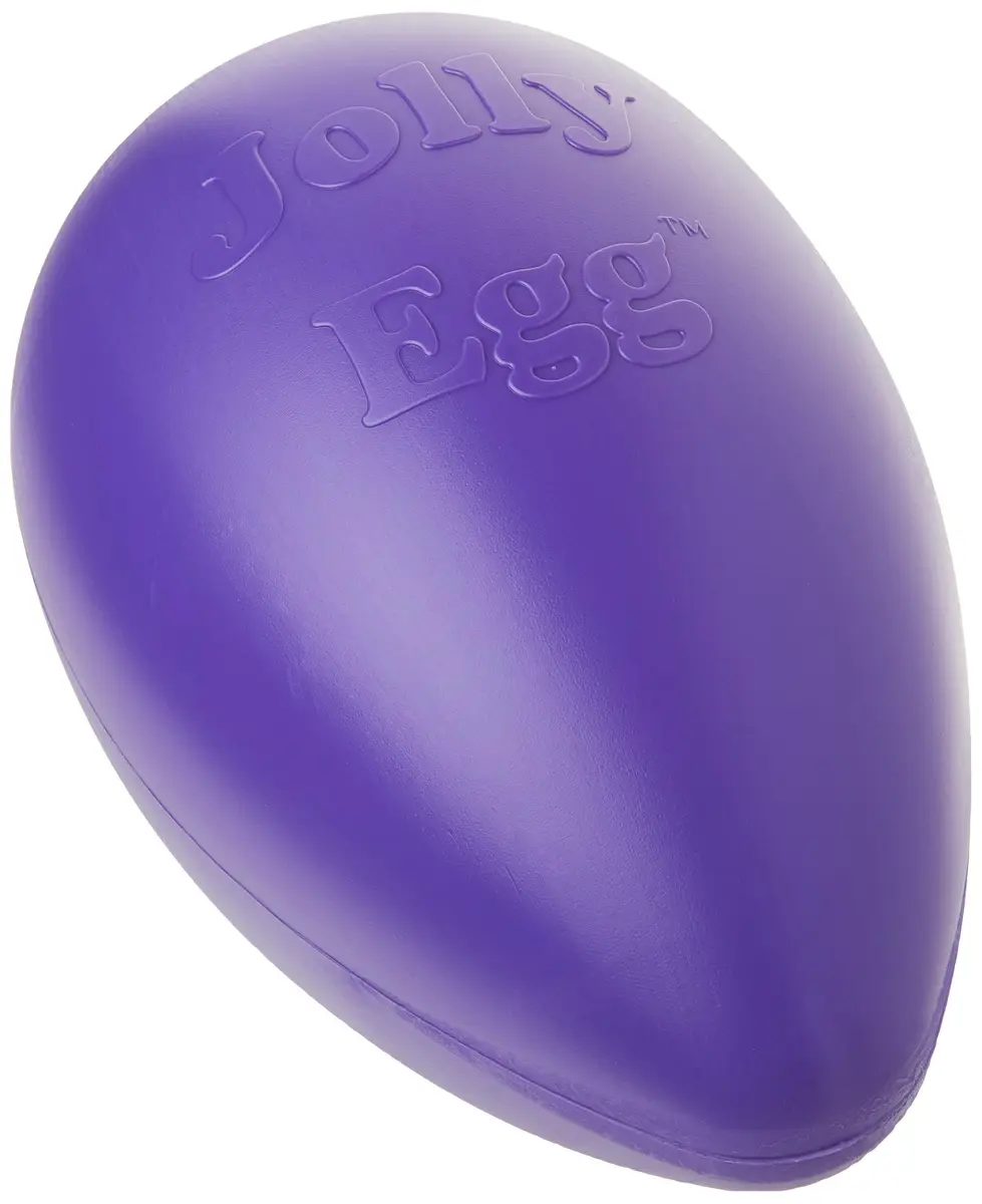 Jolly Pets Jolly Egg Dog Toy, Large 12 Inch Purple | Erratic Motion Fetch Toy for Dogs Over 40 lbs - view 2