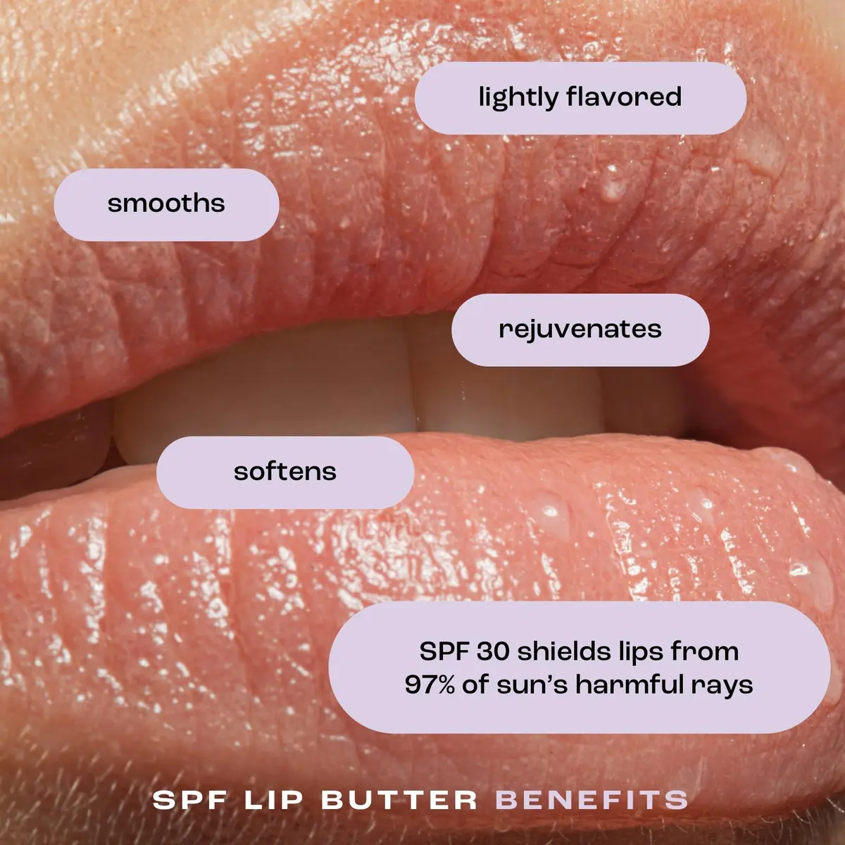 Natural Inspirations Pomegranate SPF 30 Lip Butter 0.15oz | Organic Moisturizer with Sun Protection - view 2