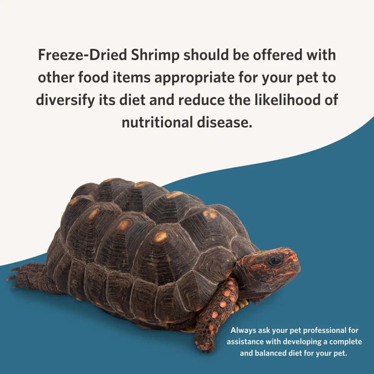 Fluker's Freeze Dried River Shrimp 28g (1 Oz) | Nutrient-Rich Reptile & Fish Treat - view 5