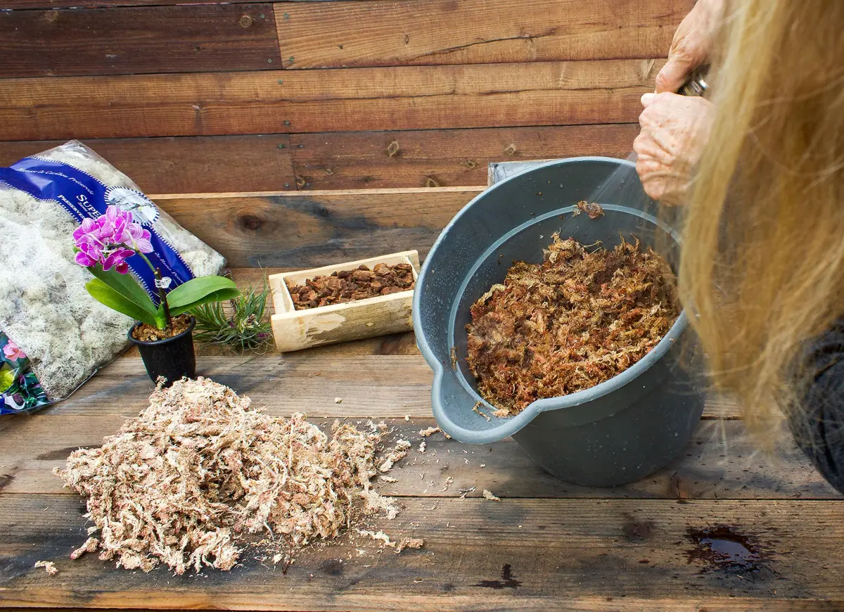 SuperMoss Orchid Sphagnum Moss 227g (8oz) | Long Fiber Natural Dried Moss for Orchids and Succulents - view 3